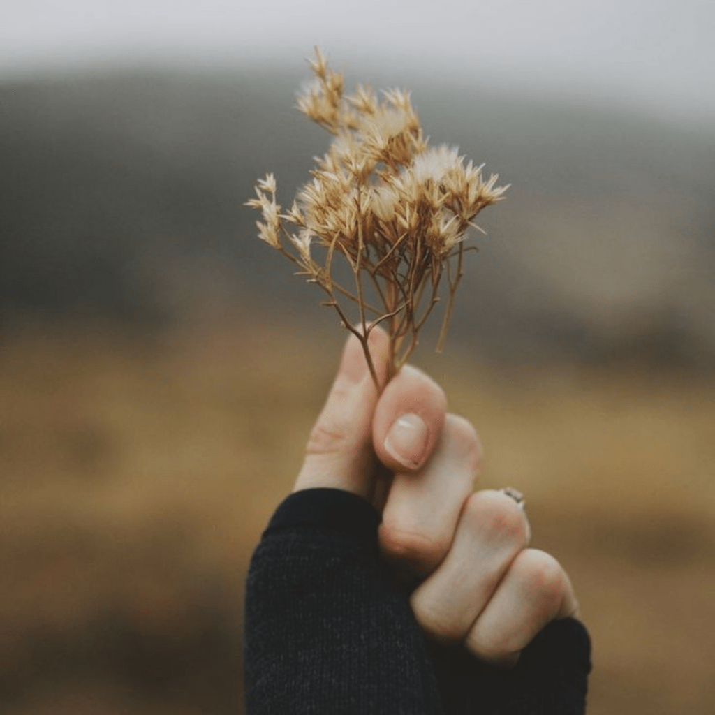 Superação & resiliência