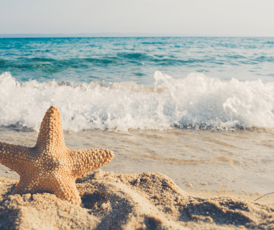 A praia é um presente de&nbsp;Deus!